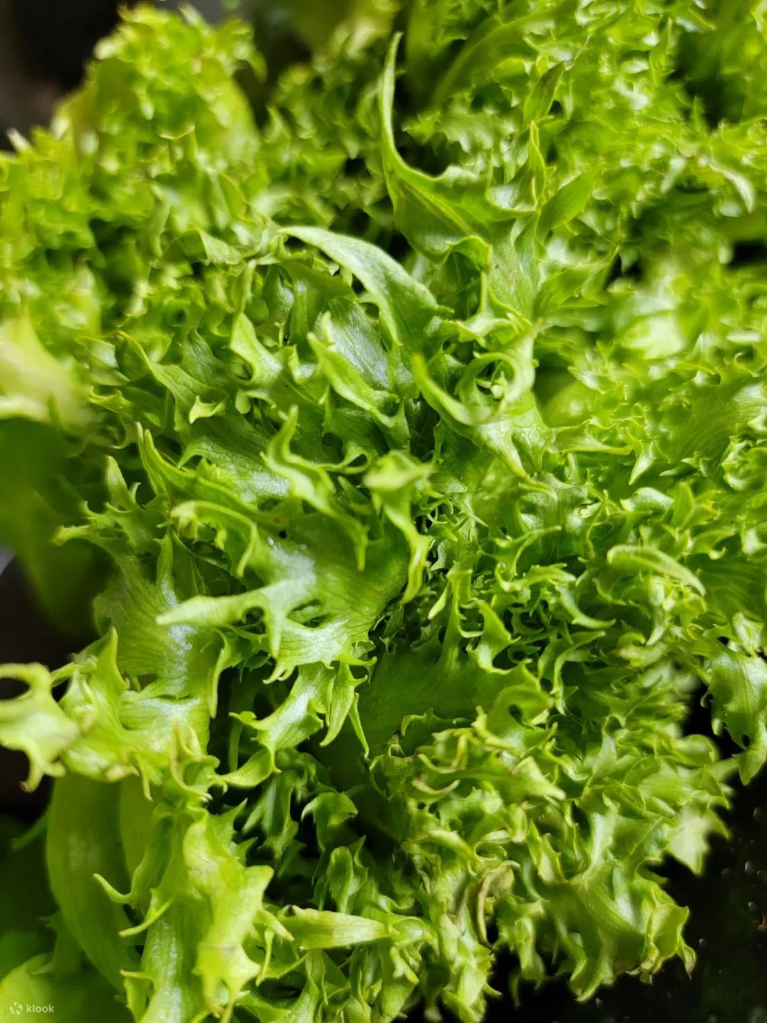 veg